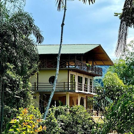 Wisdom Forest Lodge Тена Экстерьер фото