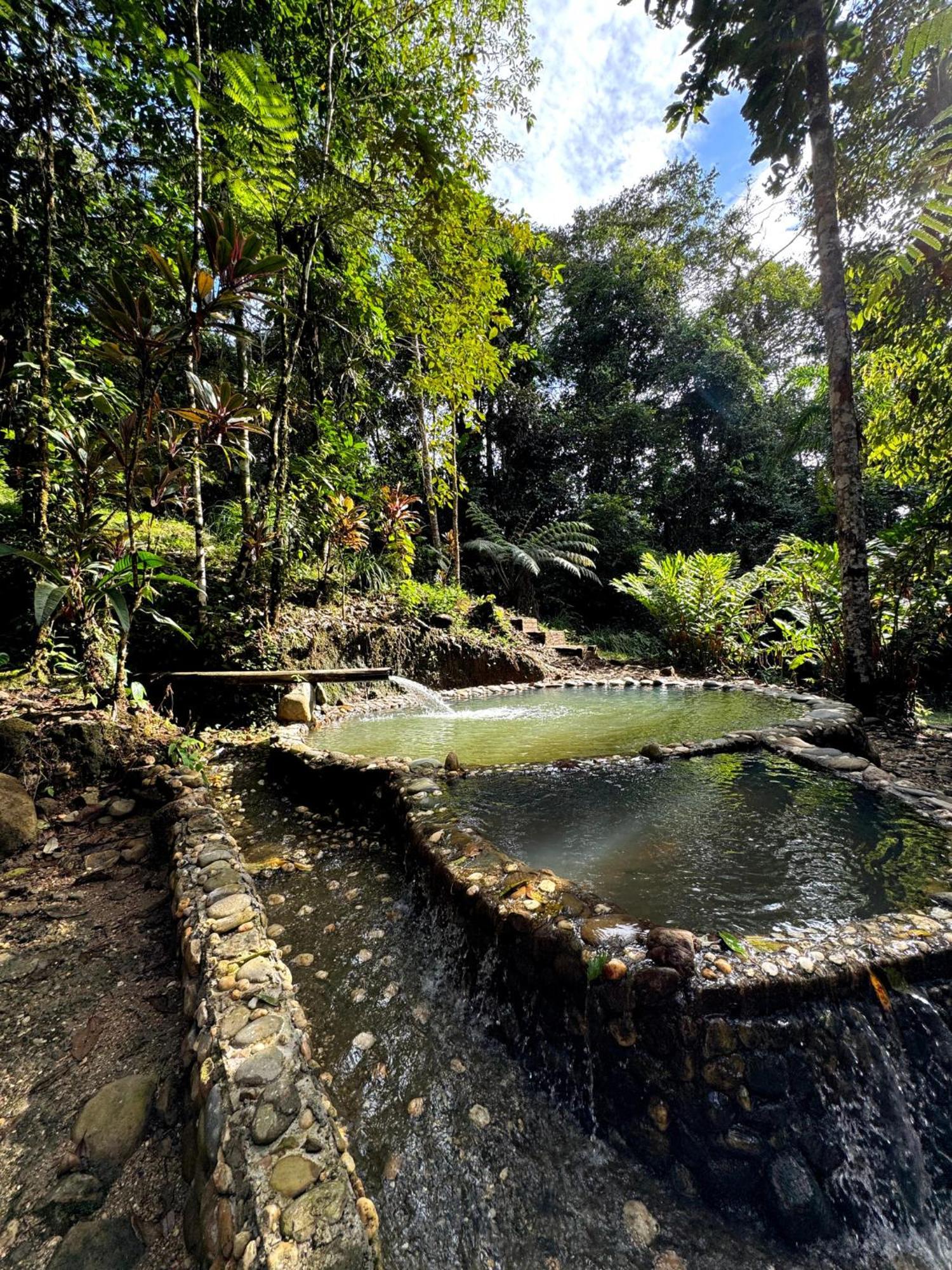 Wisdom Forest Lodge Тена Экстерьер фото
